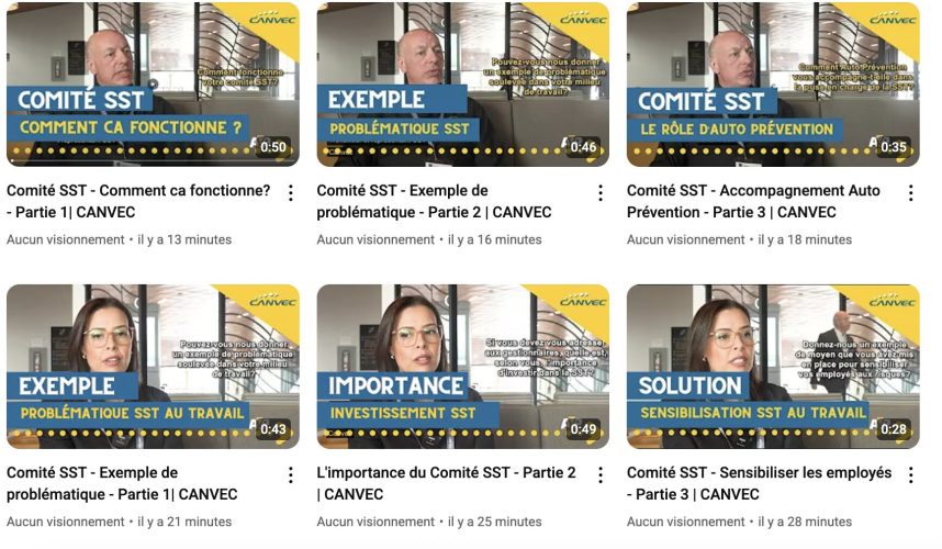 Comité sst video