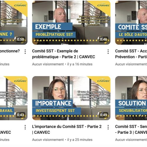 Comité sst video